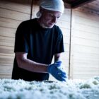 Israel Serralvo Caballero